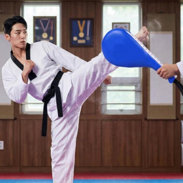 펀치 발차기 복싱 트레이닝 패드 글러브 격투기 퀵 미트