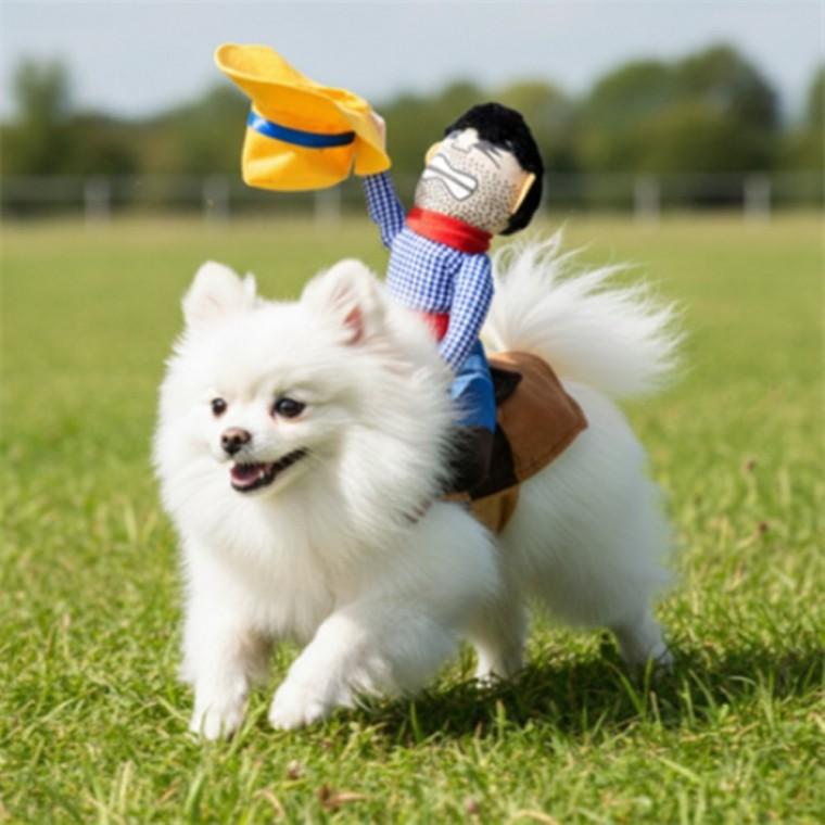 강아지 카우보이 옷 카우보이옷 강아지코스튬카우보이