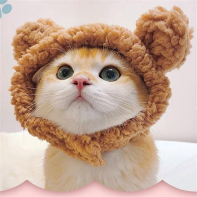고양이 모자 고양이귀모자 반려묘모자