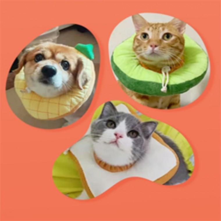 쿠션넥카라 강아지목보호대 강아지쿠션넥카라