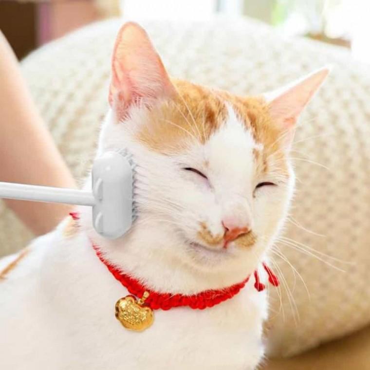 고양이 브러쉬 부 반려동물빗 고양이털브러쉬 죽은털빗