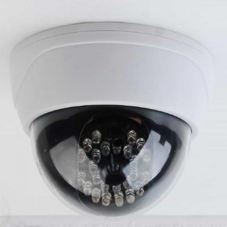 모형 CCTV 돔형 현관cctv모형 cctv모형부착형