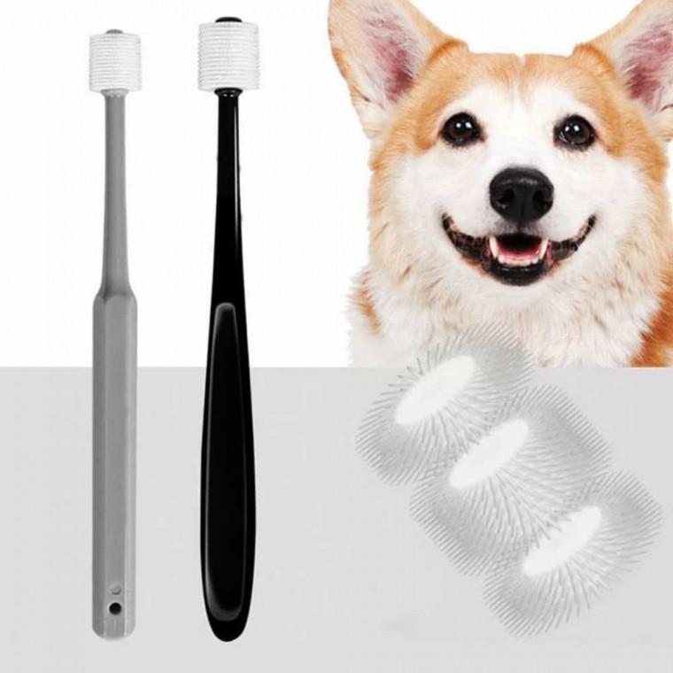 강아지 고양이 칫 벨트홀더 애견칫솔 강아지구취