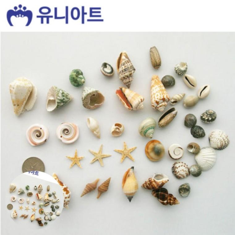 미술놀이 어린이만들기 만들기취미 초등만들기 공예재료 5000통 만들기 조개세트 모양랜덤