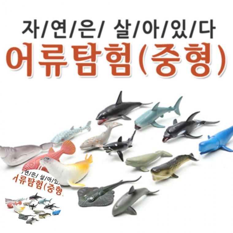 동물놀이세트 동물교육세트 동물지식놀이 동물학습게임 동물관찰학습 자연은살아있다 어류탐험 중형