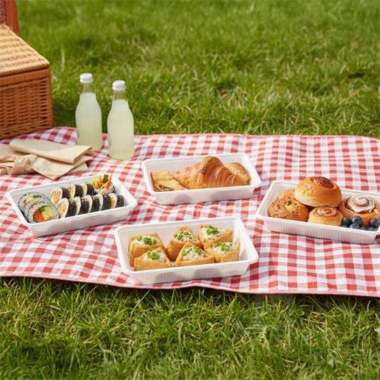 위생도시락 5매 경량 피크닉 일회용 도시락 김밥도시락 도시락용기
