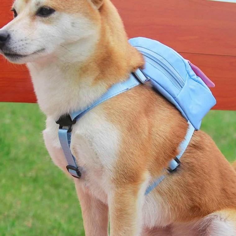 강아지 가방 하네 강아지이동가방 애견백팩 소형견가방
