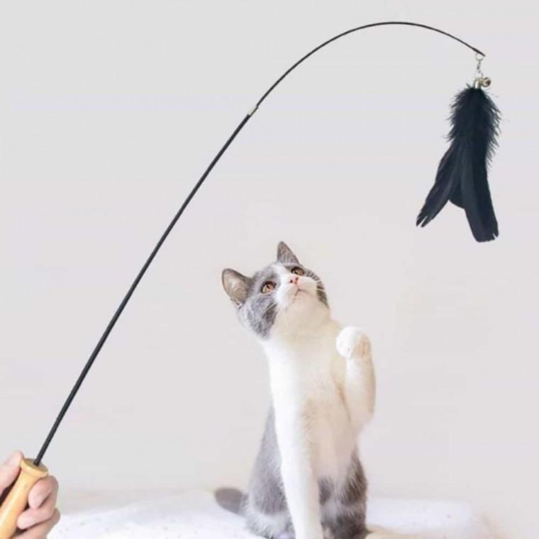2 고양이 낚시 고양이와이어낚시대 고양이사냥놀이장난감 고양이낚싯대