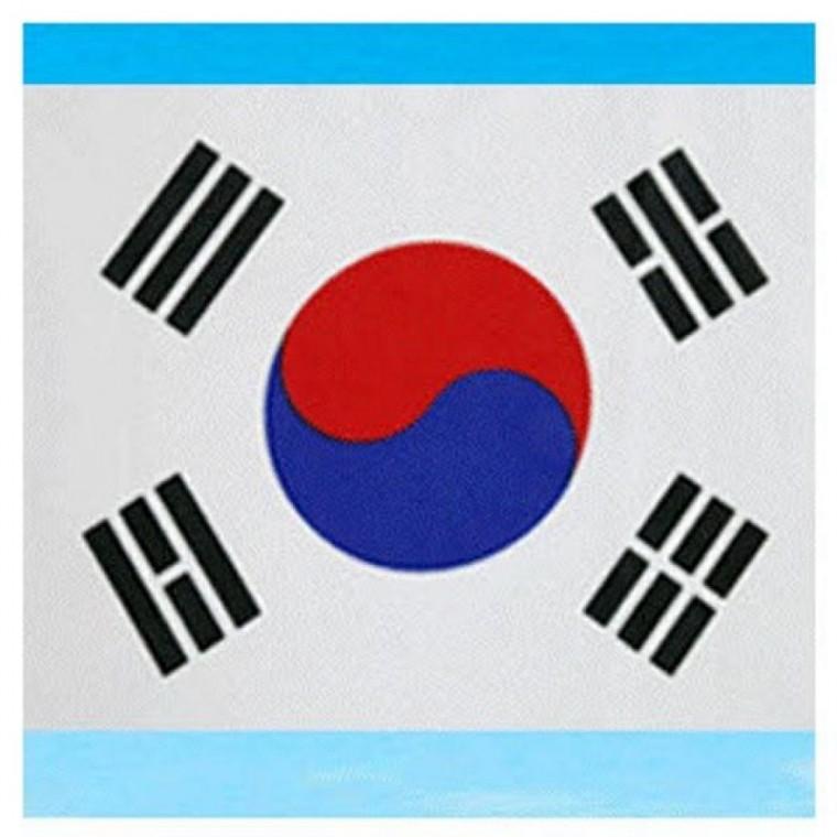 거리용 태극기 80x120cm 국기 행사용
