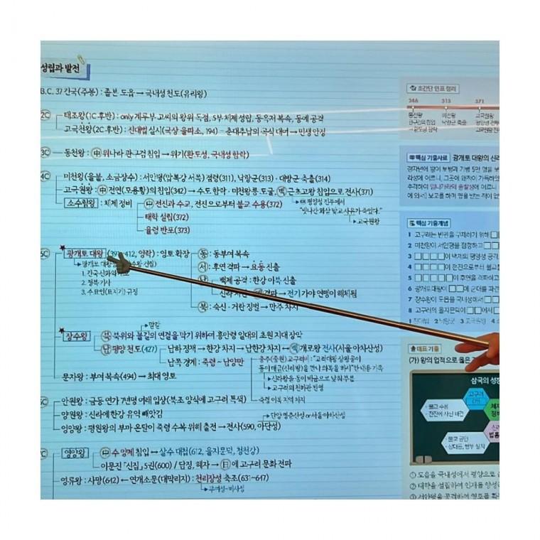 루미나D 지시봉 안테나 가정 실내 정리 공간활용 생활용품 가정용