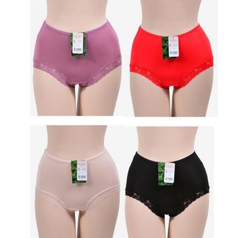 (챠밍) 인견 4컬러 레이스햄 여성 맥시 팬티
