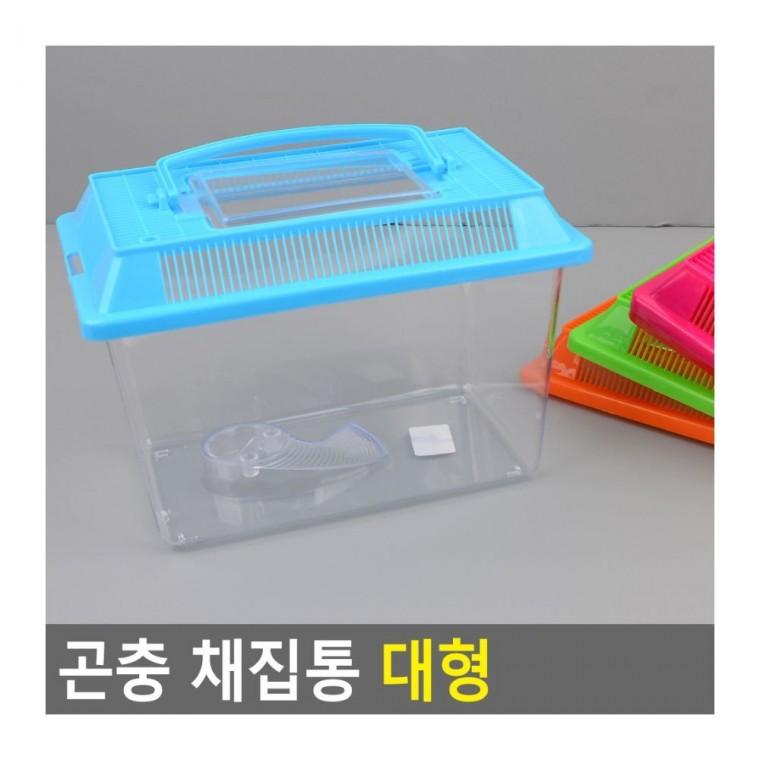 곤충관찰채집통 곤충 채집통 대형 자연학습 손잡이 케이스 플라스틱 투명 어린이 통기구