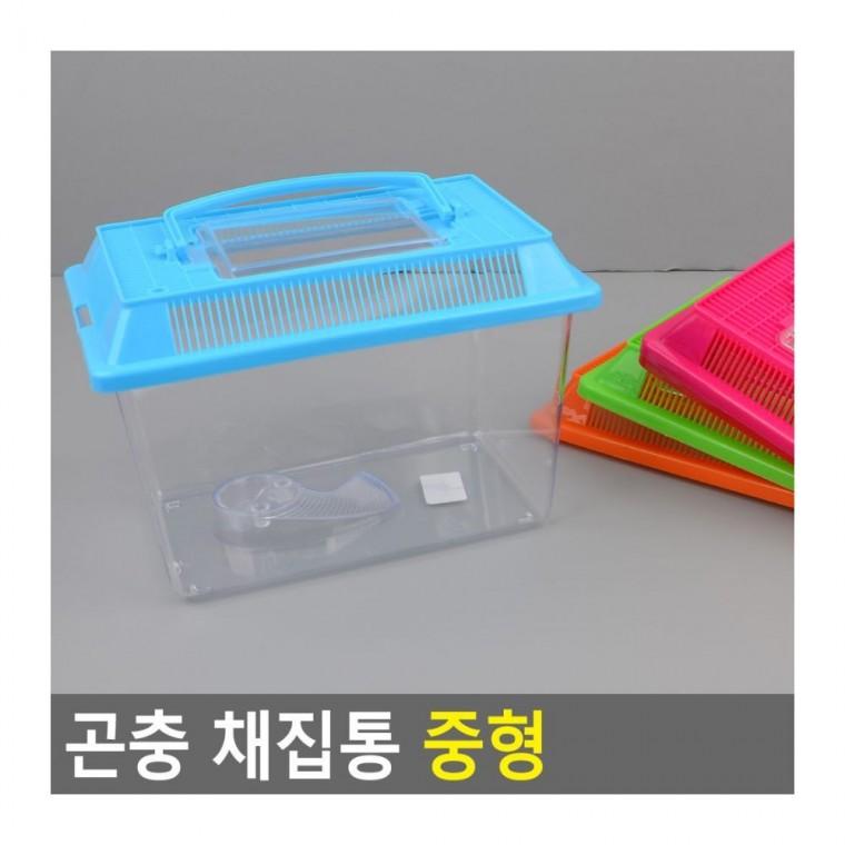 중형 곤충 관찰통 뚜껑 케이스 교육 채집 투명 어린이 자연 탐구 통기성 학습 곤충채집통