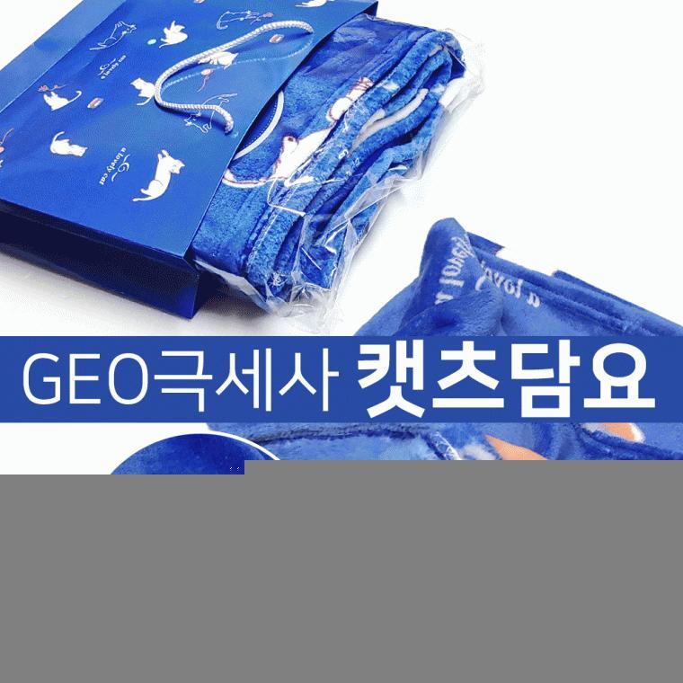 무릎담요[GEO극세사 캣츠담요]사이즈92*140/안전확인검사제품/개별OPP포장/쇼핑백포함/수능제품[효정무역]