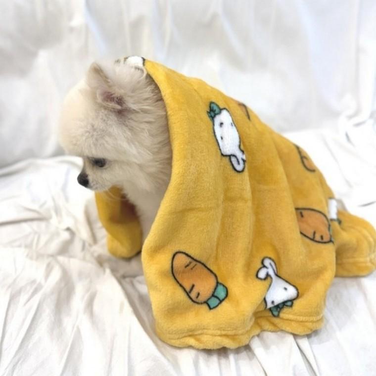 극세사 강아지 이불 소형사이즈 담요