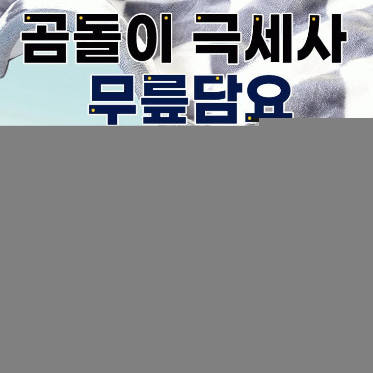 무릎담요[곰돌이 극세사 무릎담요]사이즈100*125/개별포장/안전확인검사제품/극세사담요/쇼핑백[신광]