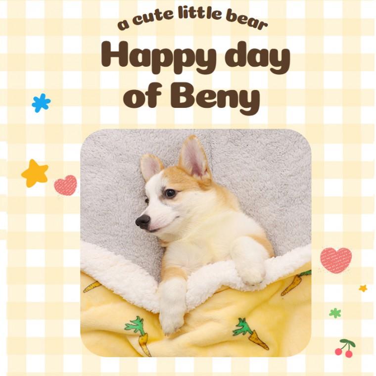 자가발열 겨울 강아지 극세사 담요