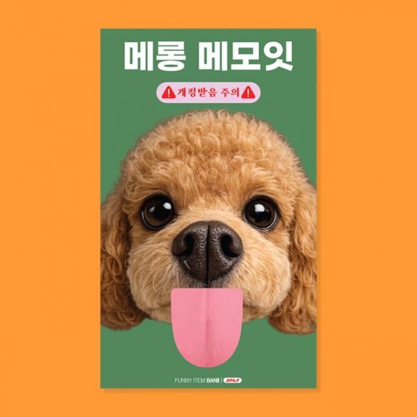 푸들 메롱 메모잇 S
