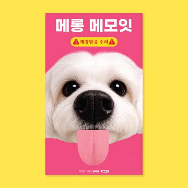 말티즈 메롱 메모잇 S