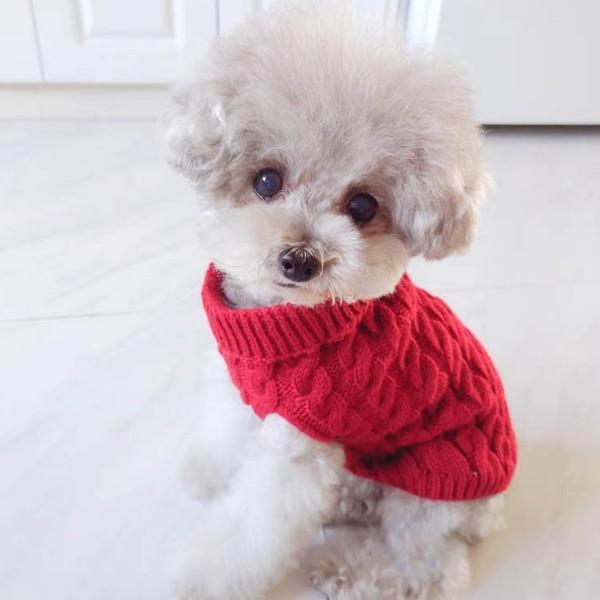 반려동물 니트 티셔츠 겨울철 산책 외출 패션 용품 신축성이 좋고 따듯한 강아지 고양이 스웨터