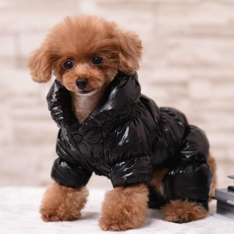 활동성이 좋고 따뜻한 유광 롱패딩 반려견 겨울 아우터 애견점퍼 산책 바람막이