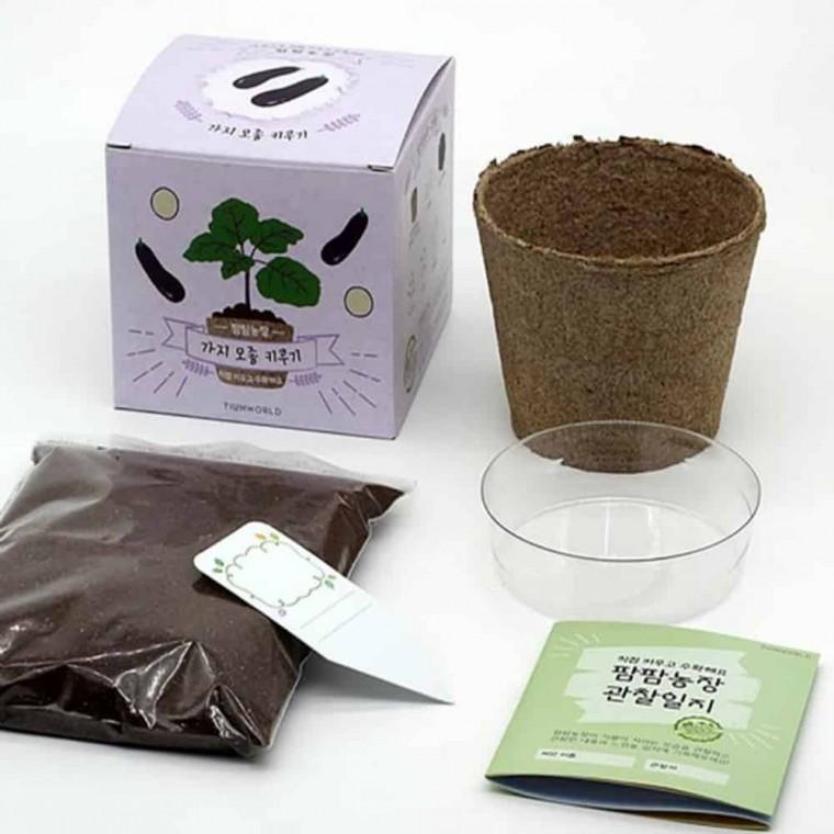 가지 모종키우기 모종화분 베란다텃밭